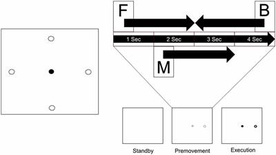 Classification of Movement Intention Using Independent Components of Premovement EEG